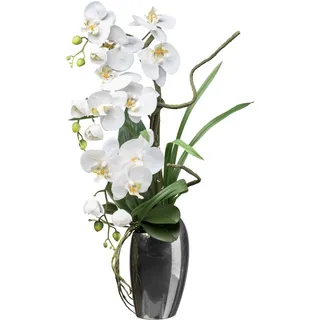 Creativ green Kunstorchidee »Orchidee Phalaenopsis« mit real-touch-Blüten, weiß