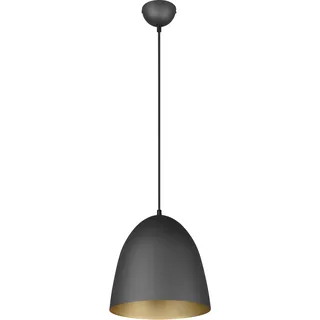 REALITY Leuchten Pendelleuchte »Tilda« E27 1 Stk. warmweiß - kaltweiß elegante Hängelampe, max 150cm höhenverstellbar, exkl 1xE27 max 40W, goldfarben