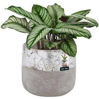 KOTARBAU® Blumentopf Keramik groß Silber Unglasierte Keramik ⌀ 11,5 cm Höhe: 12 cm Pflanzkübel Keramik Blumentöpfe Keramik Übertopf Vintage