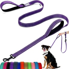 Hundeleine – mit zwei gepolsterten Griffen, zwei Hundeleinen-Modi, doppelseitige, reflektierende Nylon-Hundeleine für Training und Spazierengehen, perfekt für mittelgroße Hunde