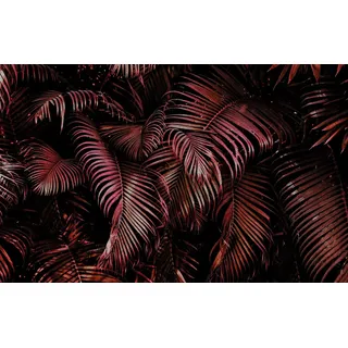 Rasch Tapete 363081 - Fototapete auf Vlies mit Palmenblättern in Pink und Schwarz aus der Kollektion Magicwalls - 3,00 m x 4,77 m (LxB)