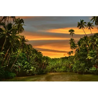 Papermoon Fototapete »Fluss im Dschungel«, bunt