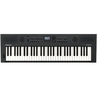 Roland GO:KEYS 5 Graphite