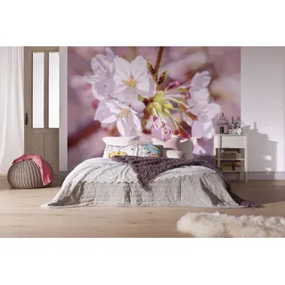 KOMAR "Vlies Fototapete - Pink Blossom - Größe 248 x 184 cm, Motiv bedruckt glatt, rosa,