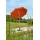 Ibiza Ø 200 cm Rot