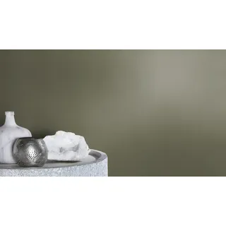 Rasch Textil Vliestapete Lirirco 10,05 x 0,53 m 555943 grün