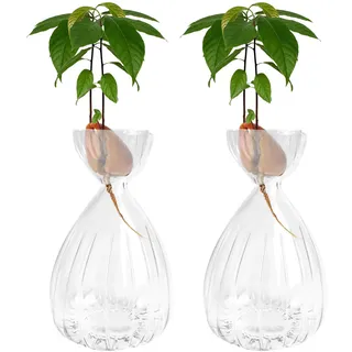 2 Stück Avocado-Samen-Sprossen-Vase, gestreifter Stil, Avocado-Glasvasen, Glasvasen für Zuhause, Tisch, Schreibtisch, Innendekoration (Transparent)