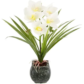 my home Kunstblume »Orchidee« Mit Blätter im Topf aus Zement Künstliche Blume Cymbidium-Orchidee, beige