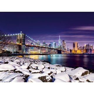 Ravensburger Puzzle Winter in New York 17108