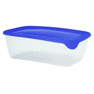 CURVER FRESH & GO Frischhaltedose , Vorratsdosen aus Kunststoff, Fassungsvermögen: 1,0 Liter, Maße (LxTxH): 22,8 x 14,8 x 6,2 cm