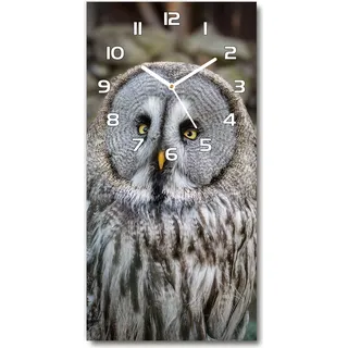Wanduhr aus Glas – 30x60 cm - Glasbild - Glasuhr - Gehärtetes Glas -Eule - Braun
