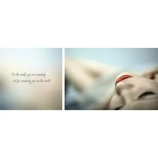 Leinwandbild QUEENCE "World", rot (farbe bild(er): rot), B:100cm H:40cm T:2cm, Canvas, Holzrahmen, Bilder, Leinwandbild, Premium-Leinwandstoff, Handarbeit aus Deutschland, Spruch, 2er Set