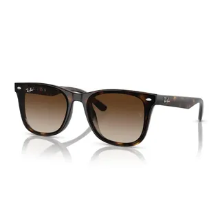 Ray-Ban RB4420 Quadratische Sonnenbrille für Herren für Damen + Paket mit Zubehör-Set