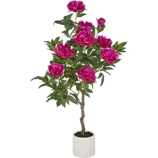 Creativ green "Peonie", im eleganten Topf,