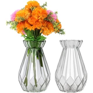 Belle Vous Vase Durchsichtig Kristallvase Vase Glas (2 STK) – 15cm Blumenvase Modern Zylinder Vase Glas Rund, Vase Bauchig Set als Dekoration für Zuhause, Tischdeko, Büro