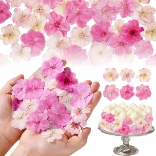 Celblisora 96 Stück Rosafarbene Natürlich Getrocknete, Gepresste,Essbare Blumen für Kuchendekoration,Cupcake-Topper,Schmuckherstellung aus Kunstharz,DIY-Kunsthandwerk