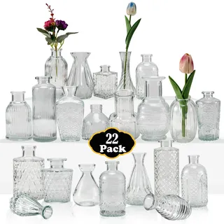EOGRFW Kleine Vasen Set, 22 Stück Kleine Glasvase für Tischdeko, Verschiedene Größen Vintage Deko Vasen, Mini Vasens Deko Set für Hochzeitsdeko Tischdeko Mittelstücke