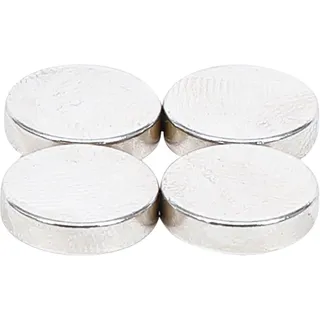BGS BGS, Magnet, Magnet-Satz (4 x)