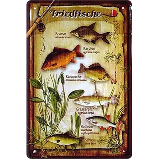 schilderkreis24 Blechschild Spruch “Friedfische, Brasse, Karpfe, Karausche .“ Deko Fisch Hängeschild Türschild Metallschild Fischen Angeln Angel Verein Schild Geschenkidee Angler 20x30 cm