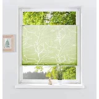 OTTO home Plissee "Anna" Lichtschutz ohne Bohren verspannt Ästemotiv, Bestseller, Für Fenster & Tür, Sonnenschutz, grün
