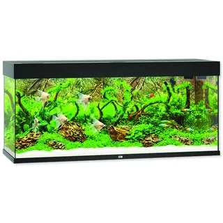 JUWEL Aquarium Rio 240 inkl. LED-Beleuchtung, Pumpe, Filter und Heizer, schwarz