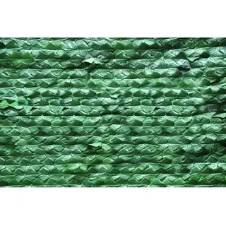 Immergrüne Polyester-Hecke Efeu Mit Schatten 1 X 20M