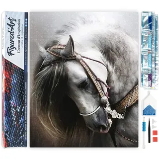 Figured'Art Diamond Painting Großes Pferd 40x50cm