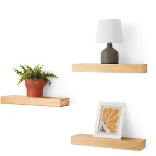 Amazon Basics Wandregal 40,1 x 12,7 x 4,6 cm Grün