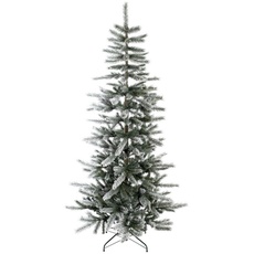 Bild Weihnachtsbaum Cedar Kiefer Frost 210 cm