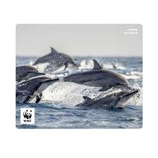 Bild TERRA WWF Delfine