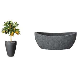 Scheurich Wave Globe High, Hochgefäß aus Kunststoff & Wave Globe Jardiniere, ovale Pflanzschale aus Kunststoff, Schwarz-Granit, 58 cm lang, 24 cm breit, 23 cm hoch, 15 l Vol.