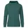 Tuenno Hoodie Dark Fjord Green 38