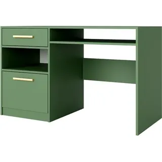 BETTSO Kinderschreibtisch Schreibtisch schöner Jugendschreibtisch mit 1 Schubladen und 1 Türen Die modischsten Farben BALL II Flaschengrün +Gold