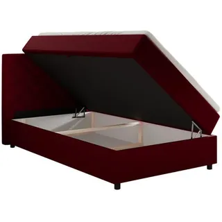 panda möbel BOXSPRINGBETT Diamaro 120x200 cm, mit Bettkasten und Topper - Rot, - Rot