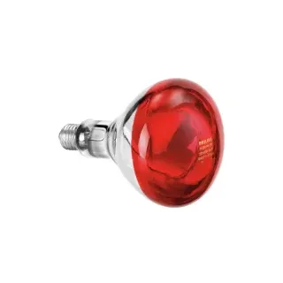 Bartscher Infrarotlampe IWL250D, Wärmelampe, Infrarotlampe mit E27 Gewinde zur Ausstattung von Wämelampen, 1 Stück
