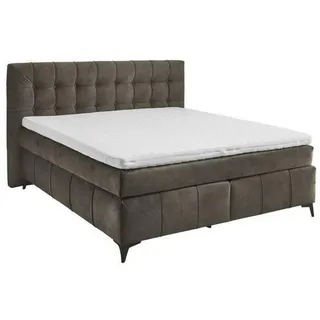 modante Boxspringbett 180x200 cm