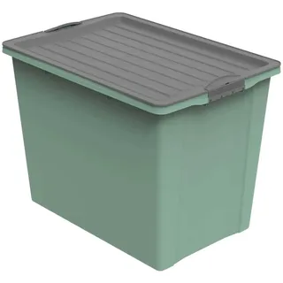Rotho Stapelbox Compact A3 70 l 1-tlg. grün