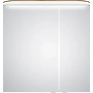 Saphir 70 cm braun mit Radio