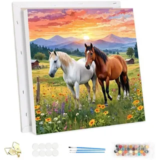 MEIYUDA Malen Nach Zahlen Erwachsene mit Rahmen Pferde, Paint by Numbers Malen Nach Zahlen Prärie, DIY Set mit Pinseln und Acrylfarben Handgemalt Ölgemälde Leinwand für Home Décor 30x30cm