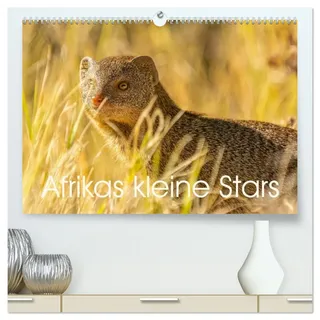 Afrikas kleine Stars (hochwertiger Premium Wandkalender 2026 DIN A2 quer), Kunstdruck in Hochglanz: Mangusten, Erdmännchen und Co. (CALVENDO Tiere)