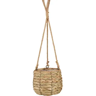 A.H.G. Blumenampel Seegras mit Hanfseil und Polybeutel Ø 24 x 23 cm Beige-Natur