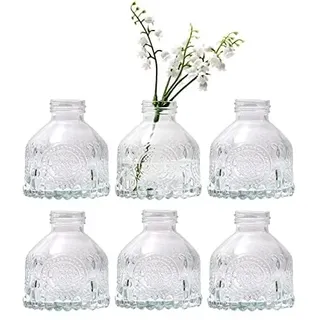 HYCKee Small Glass Vase Set 6, Small Clear Flower Bud Vases for Wedding Centerpiece Table Decorations Clear Mini Glass Bottles Flower Arrangements in for Party or Home Room Decor