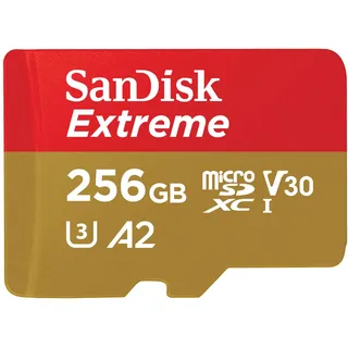 SanDisk Extreme 256GB