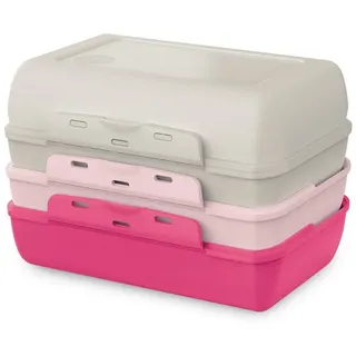 Emsa Lunchbox "Variabolo" platzsparend, verschiedene Farbkombinationen, spülmaschinenfest, grau, pink