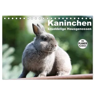 Kaninchen - knuddelige Hausgenossen (Tischkalender 2026 DIN A5 quer), CALVENDO Monatskalender: Zwergkaninchen bezaubernd anzusehen (CALVENDO Tiere)