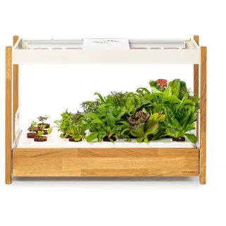 Click and grow Click & Grow 25 Komplettset 54 x 54 x 15 cm Weiß