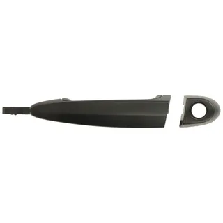 Türgriff BLIC 6010-05-020401P, Links