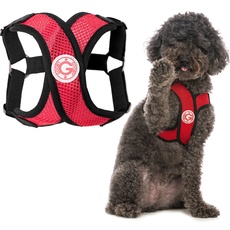 Gooby - Comfort X Step-in Harness, Choke Free Small Dog Harness with Micro Suede Trimming and Patented X Frame, Red, Large