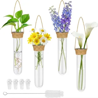 4 Stück Reagenzglas Vase, Hängevase, Glas Set mit Haken und Reinigungsbürste, Wandvase geeignet für Hydrokultur Pflanzen Fensterdeko und Blumen