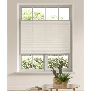 Plissee OTTO HOME "LAHOLM" Gr. 4, beige (creme), B:70cm H:130cm, Obermaterial: 100% Polyester, Plissees, Plissee, Fixmaß, Bestseller mit über 3500 4,5-Sterne-Bewertungen, Klemmträger, Topseller